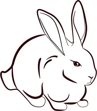 hase